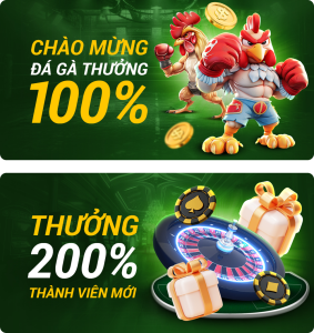 Promo